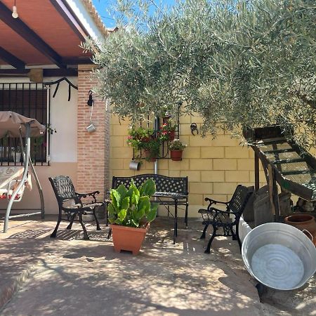 Casa Rural El Cuco Luque Eksteriør bilde
